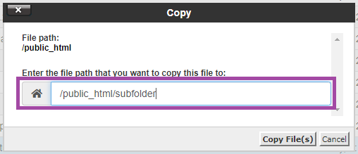 cPanel-də File Manager-i necə istifadə etmək olar? — ekran görüntüsü 7