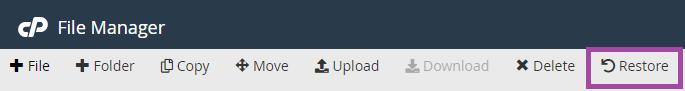 cPanel-də File Manager-i necə istifadə etmək olar? — ekran görüntüsü 12