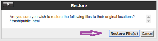 cPanel-də File Manager-i necə istifadə etmək olar? — ekran görüntüsü 13