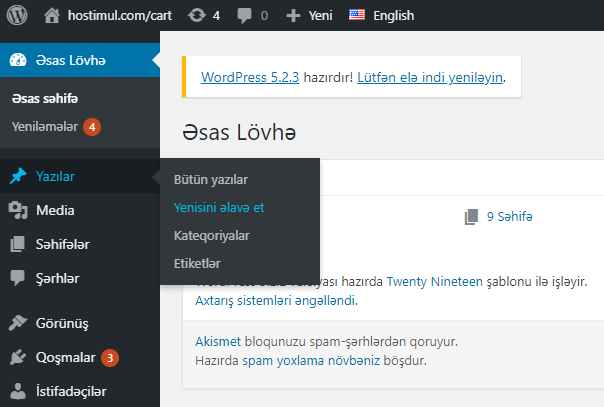 WordPress-də yazıları necə idarə etmək olar? — ekran görüntüsü 1