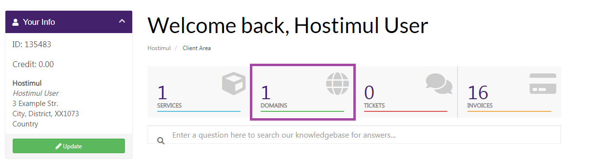 How to access the Domain Panel? — screenshot 2