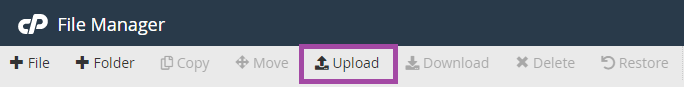How to use File Manager in cPanel? — screenshot 4