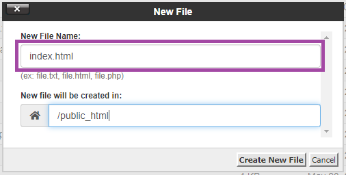 How to use File Manager in cPanel? — screenshot 9