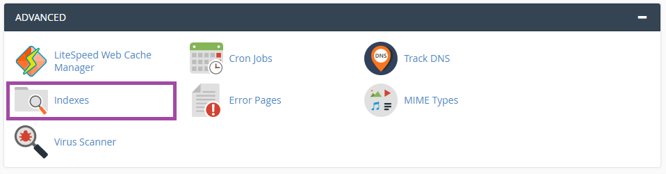 How to use index manager in cPanel? — screenshot 1