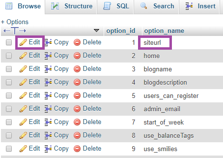 How to Change Your WordPress URL using phpMyAdmin? — screenshot 4