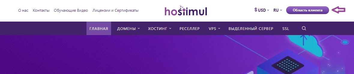 Как получить доступ к Панели Домена? — скриншот 1