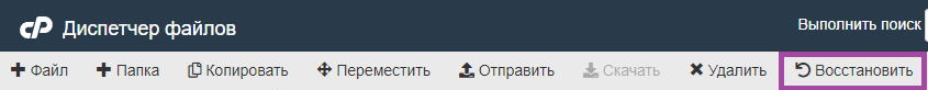 Как использовать Диспетчер Файлов в cPanel? — скриншот 12