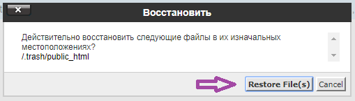 Как использовать Диспетчер Файлов в cPanel? — скриншот 13