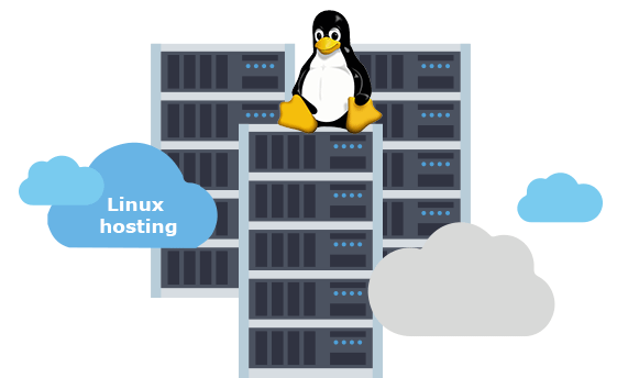 starter Linux hosting with cPanel