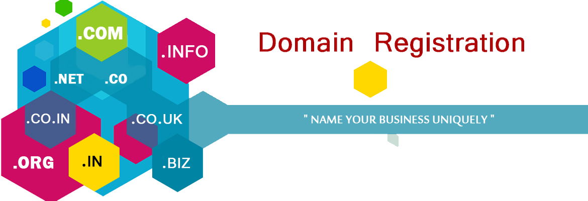 Domain name and web hosting